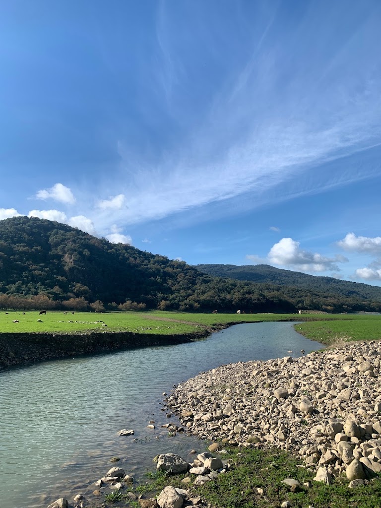 Cola del Pantano de los Hurones - Ubrique