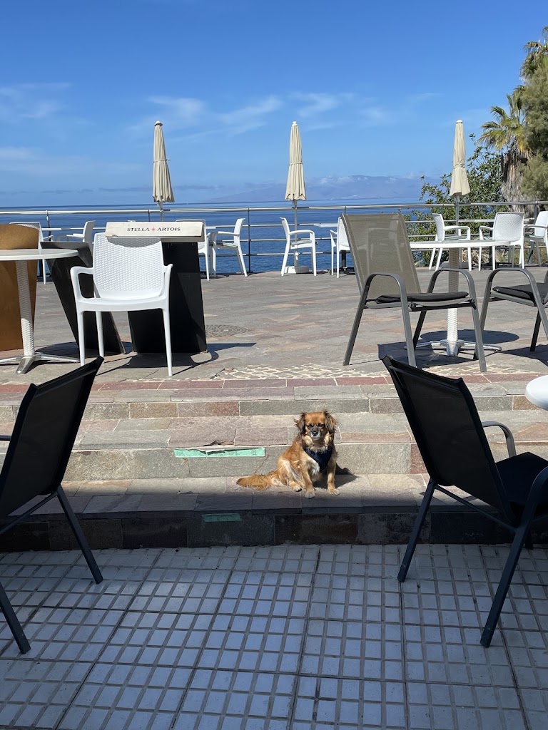 Wine & Cafe — Ambiente
