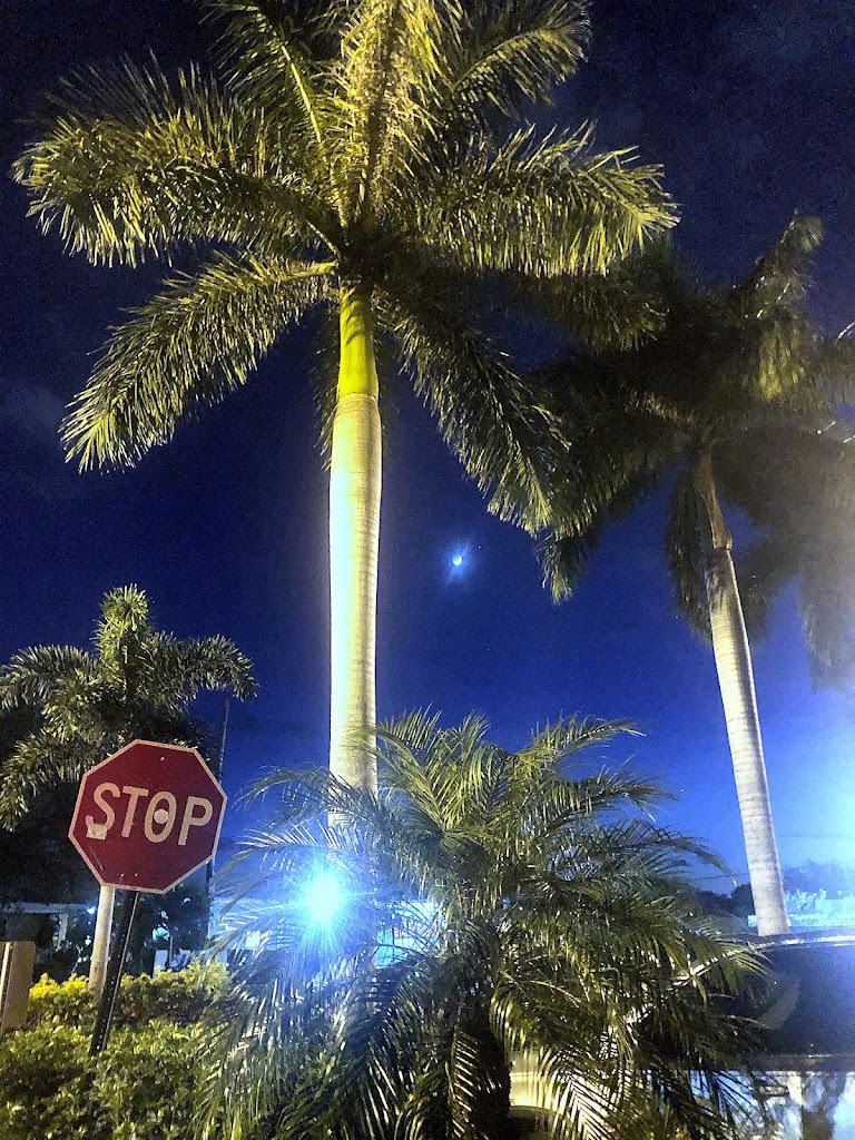  Rosalind's uptown FITNESS