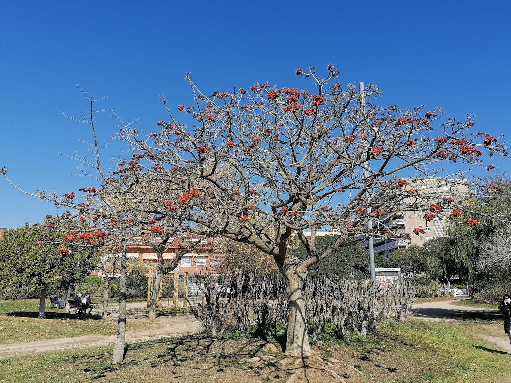 Parque de la Mar Chica