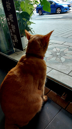 貓妝自家烘焙咖啡館 的照片