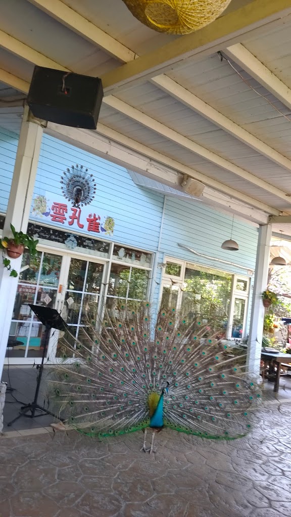 雲孔雀景觀餐廳～滇緬創意料理 的照片
