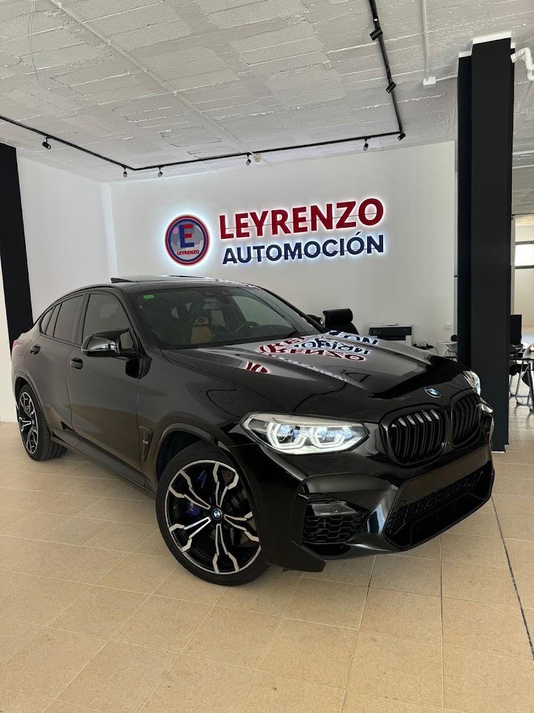 LEYRENZO AUTOMOCIO — Del propietario
