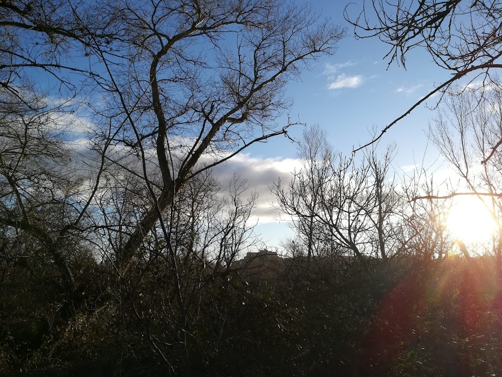 PINZANA, EL MUSEO DEL RIO CINCA