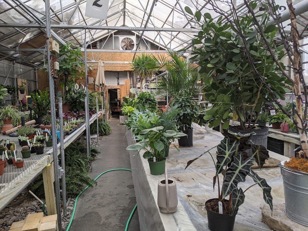 Ecker's Flowers & Greenhouses