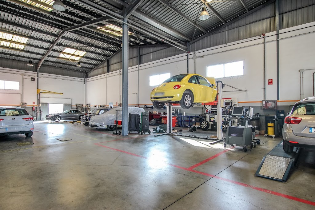 SUECA AUTOMOCION - Cupra