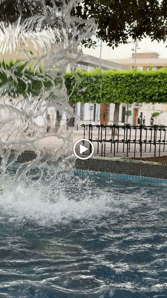 Huerta Sur en Bici 243 Alacuas - Plaza Constitucion