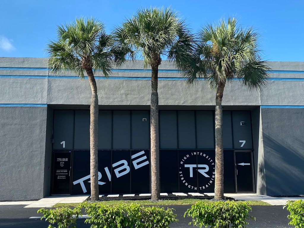  Tribe Boca