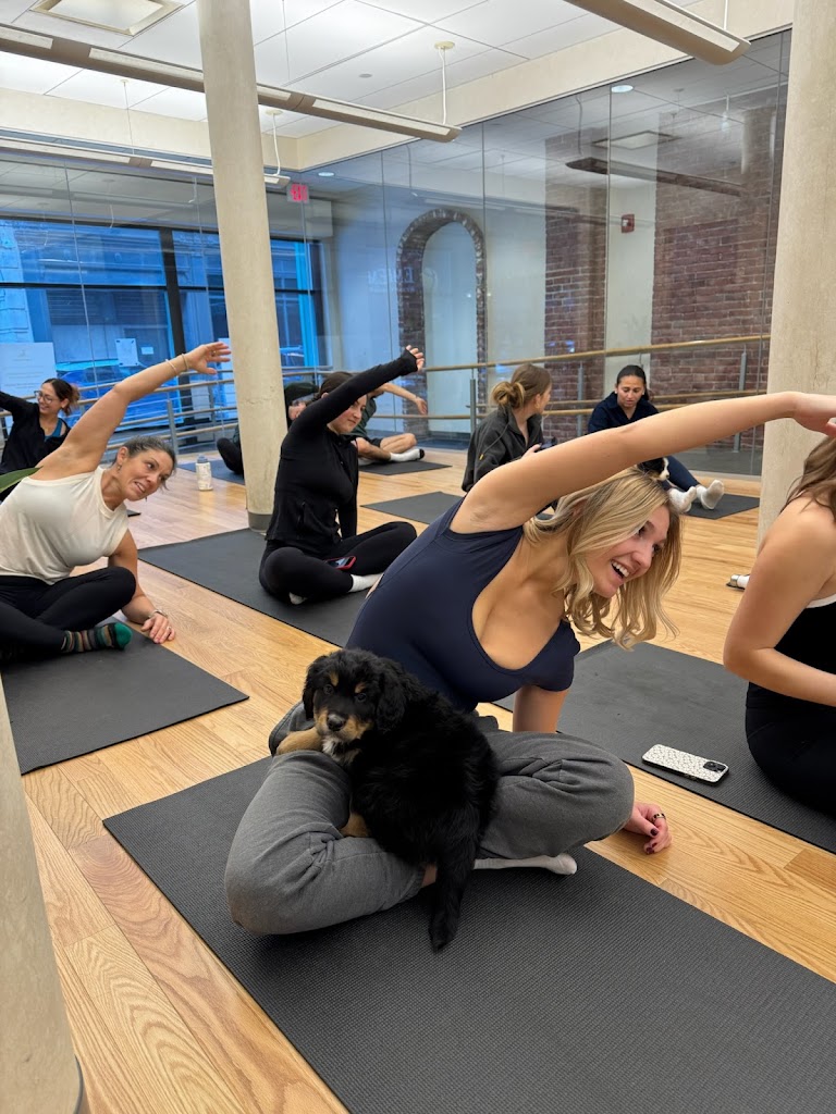  Pups&Yoga
