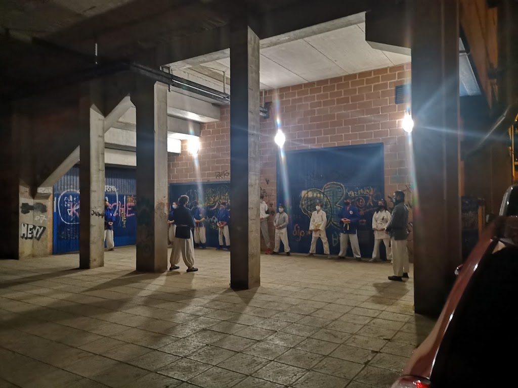 Escuela de Artes marciales. Dojo Shizen — Del propietario