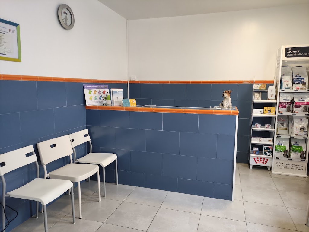 Consultorio Veterinario Petirrojo Terrassa — Del propietario