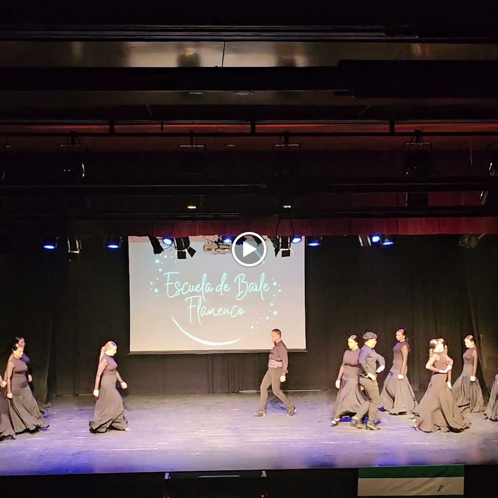 Escuela de baile flamenco David Coronel — Del propietario