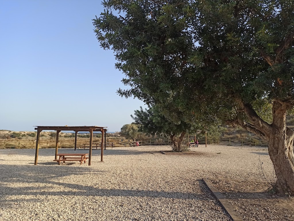 Las Puntas de Gosalvez