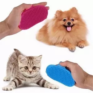 Gato