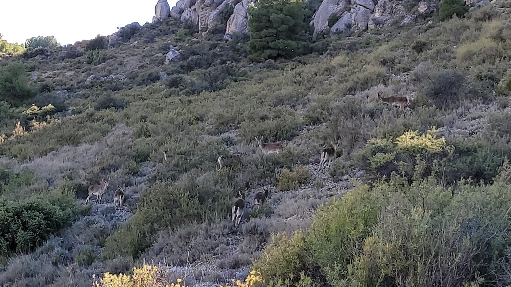 Cerro Penarrubia