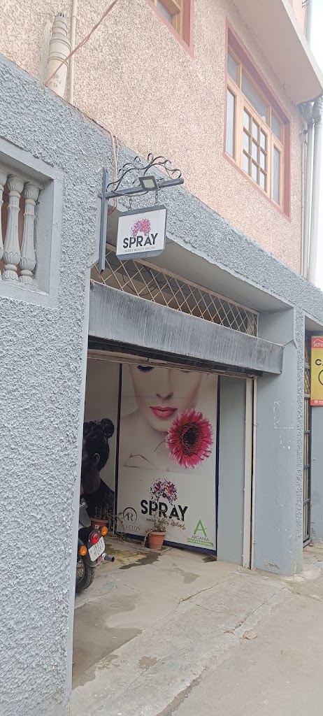 Spray Studio Kashmir