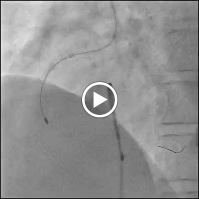Dr. Kush Kumar Bhagat – Videos in Jaipur, Rajasthan