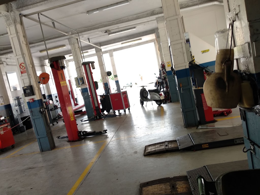 Neumaticos Campillo — Interior