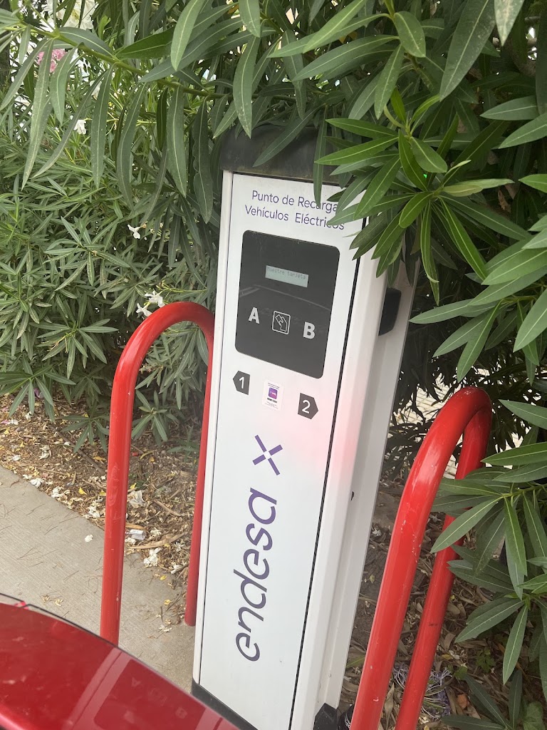 Endesa X Charging Station