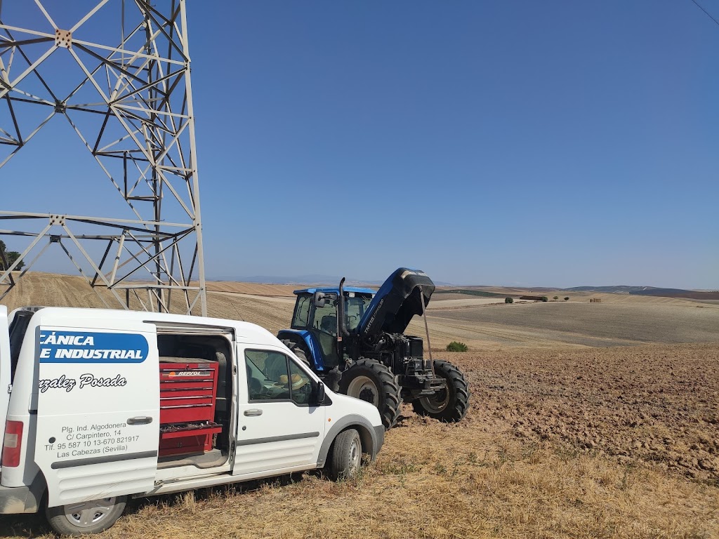 Mecanica Agricola e Industrial Pedro Manuel Gonzalez Posadas
