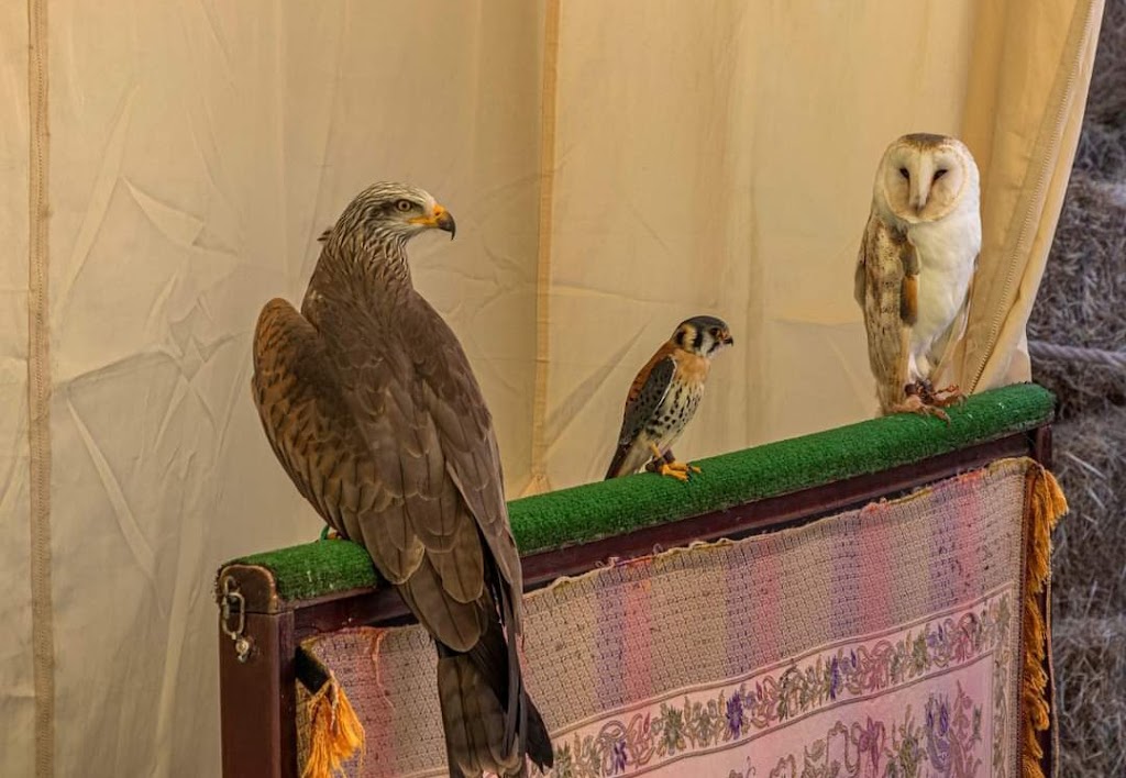 Feira Medieval - Monforte de Lemos