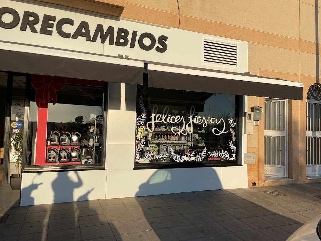 Autorecambios 2012 (LUIS DIAZ)