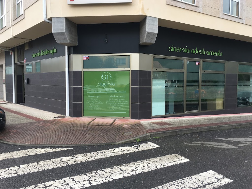 Sr Sinerxia fisioterapia e adestramento
