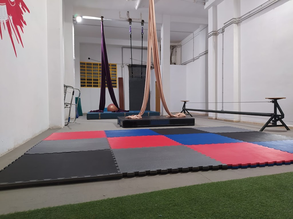 Escuela de Circo de Cerdanyola