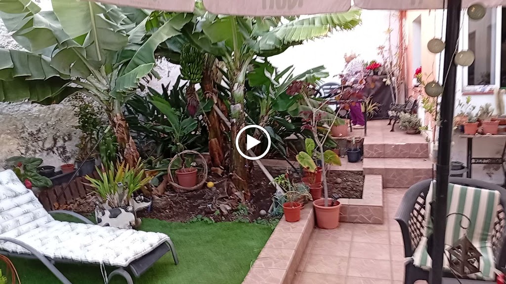 CAFETERIA BAR EL BARCO — Videos