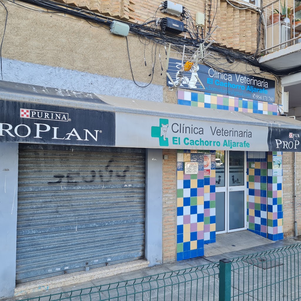 Clinica Veterinaria "El Cachorro Aljarafe" — Del propietario