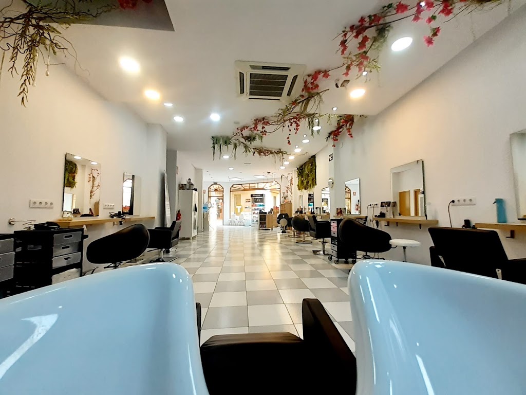 Pedreno Peluqueria Paiporta — Interior