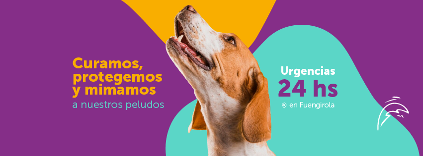 Clinica Veterinaria Vetsur