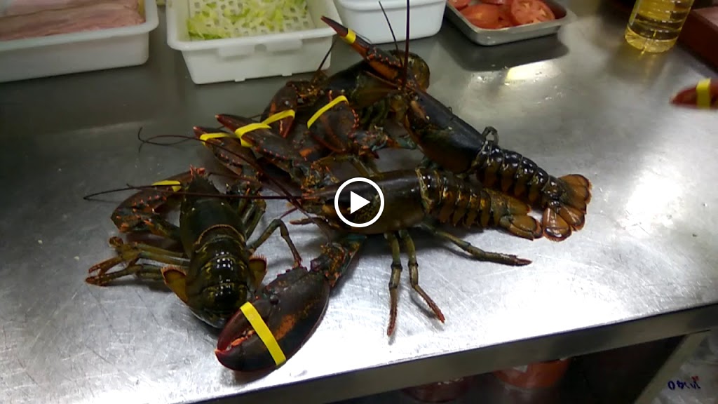 Pancho's Restaurant — Videos