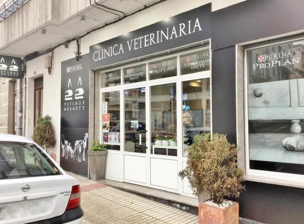 22 Clinica Veterinaria