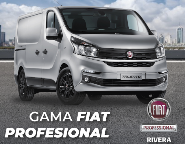 FIAT PROFESSIONAL LANZAROTE