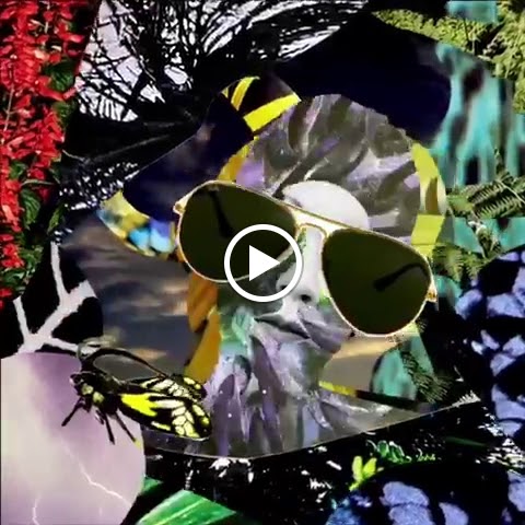 Sunglasses
