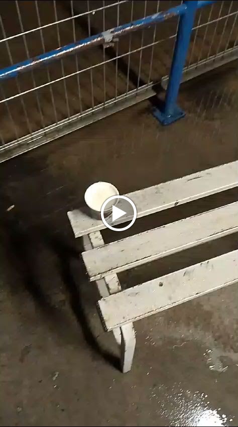 Aparcamiento Publico — Videos