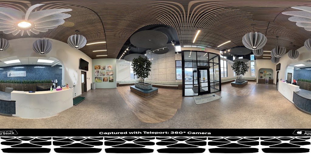 Street View & 360°