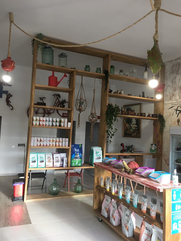 EXOTICS I +, CLINICA VETERINARIA EN LLUCMAJOR — Del propietario
