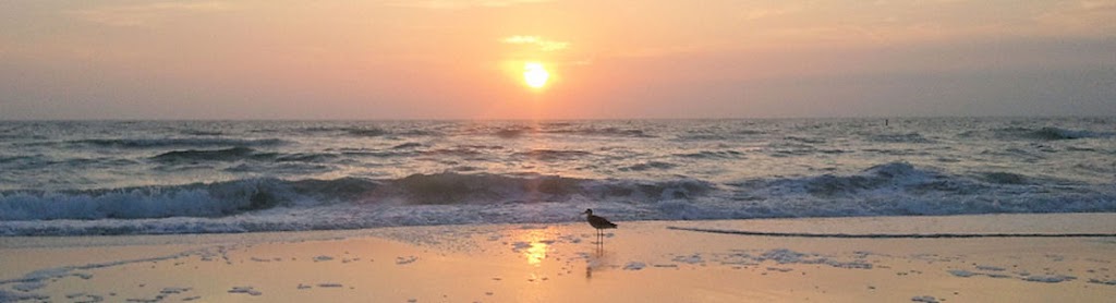 Gulf Coast Web Design