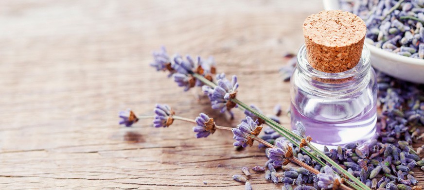 Salutem Shop Salud y Belleza