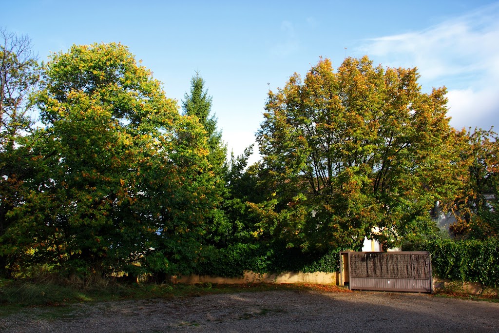 Sendero de los registros a la Pena de l a cruz