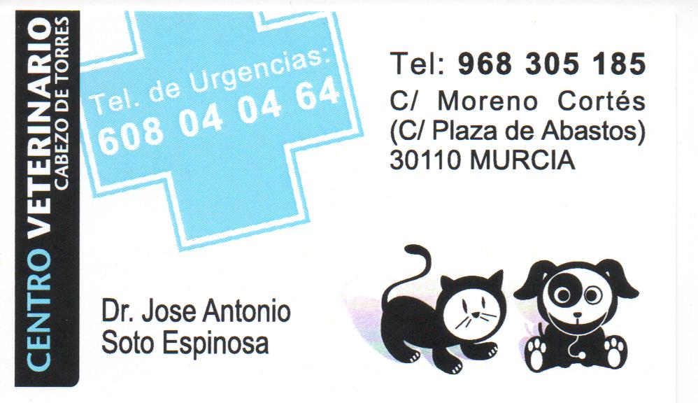 CENTRO VETERINARIO CABEZO DE TORRES — Del propietario
