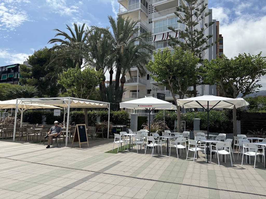 SAKURA BENICASSIM — Del propietario