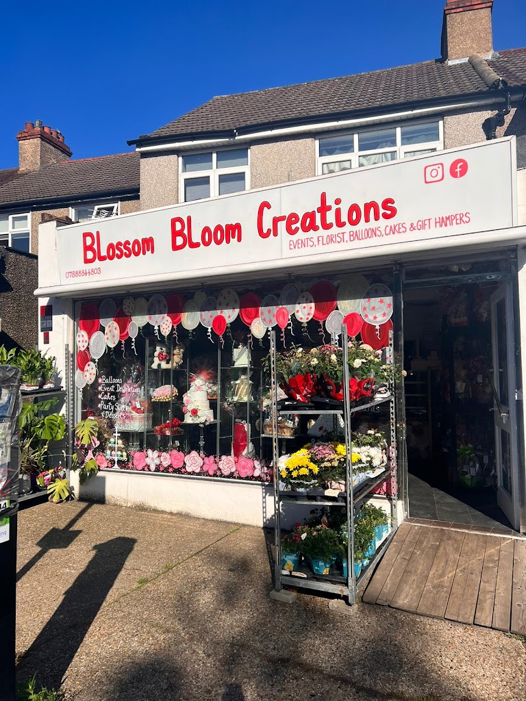 Blossom Bloom Creations ltd