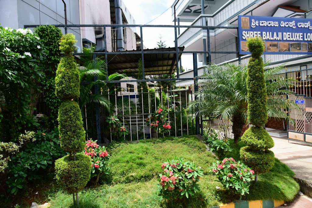 Shree Balaji Deluxe Lodge