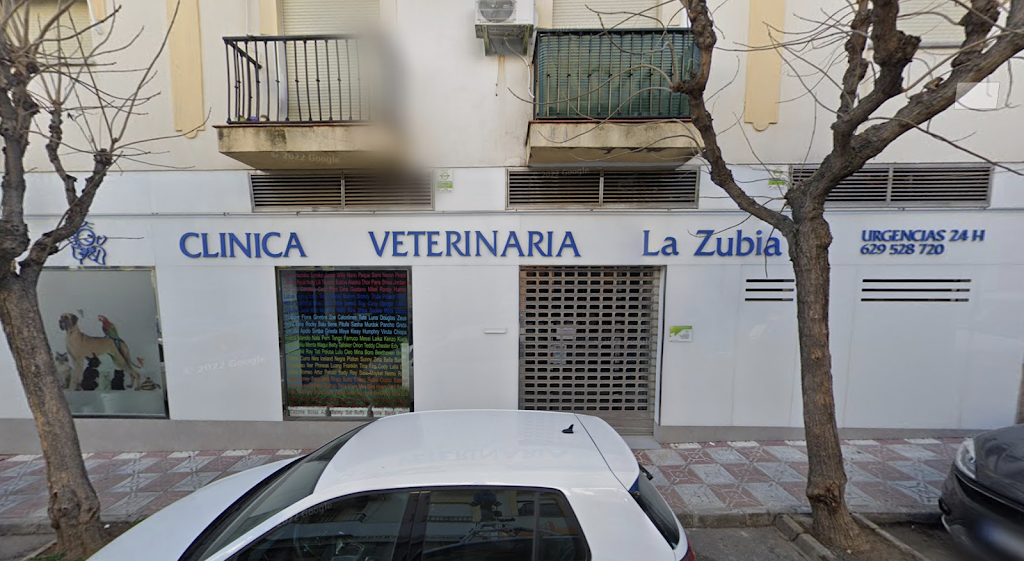 Clinica Veterinaria La Zubia — Del propietario