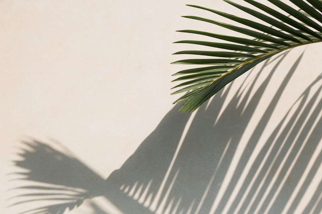 Scandi Design Co