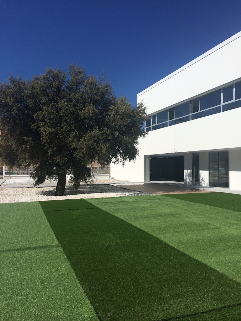 Colegio Maria Nebrera