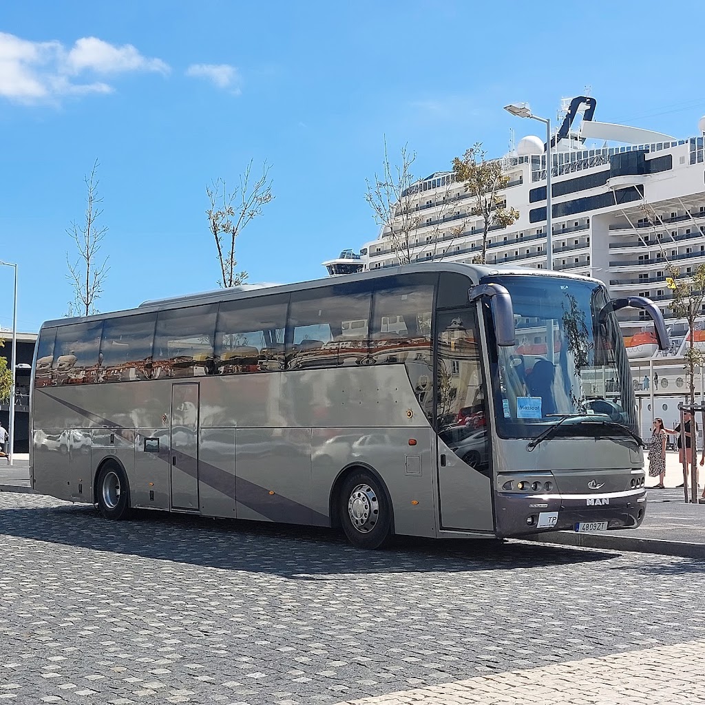 Serviço de Transporte em Pontinha